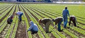 Farm Workers Jobs In Canada 2024 - 
