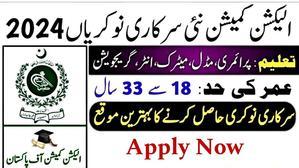 ob Openings at the Election Commission of Pakistan: How to Apply - 
