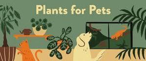 Plant Parenting for Pet Owners - 