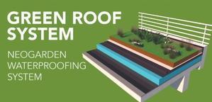 Green Roofing Options - 