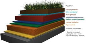 Green Roofing Options - 