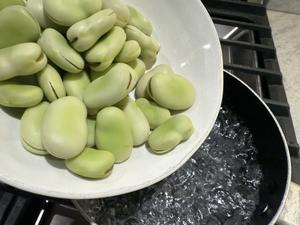 Fava Bean (そら豆初入手) - 