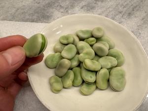 Fava Bean (そら豆初入手) - 
