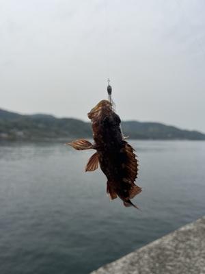 魚釣り - (株)通宝通信