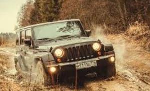 Exploring the Iconic Legacy of the Jeep: A Symbol of Adventure and Resilience - 