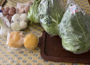 野菜の買い出しと、大蒜麹、生姜麹、玉葱麹、伽羅蕗、縮緬山椒 - 糸巻きパレットガーデン