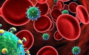 Understanding How HIV Attacks the Body - 