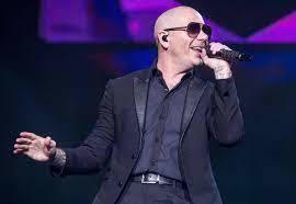 Pitbull: The Global Icon of Music and Entertainment - 