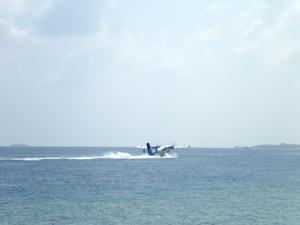  Maldives 2024　Dhigali ディガリ　その30　ハウスリーフをスノーケリング（昼スノ） - 