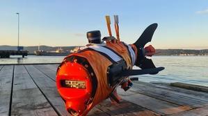 Giant Nemo Robot Fish Deployed Underwater: Benefits for the Future - 