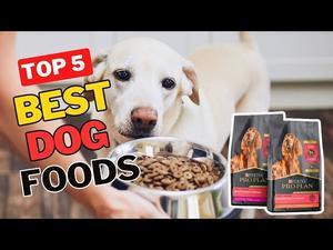 5 Best Dog Foods for Health - 