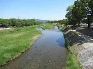 京都の風に吹かれて　　社家町を流れる明神川 - 