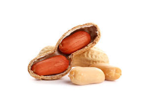 Can You Make Vegan Peanut Butter Treats? - 