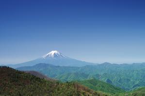牛奥ノ雁ヶ腹摺山から望む富士山 - 
