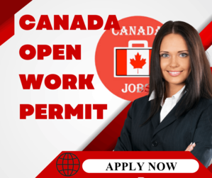 Navigating the Canada Federal Skilled Workers Program - 