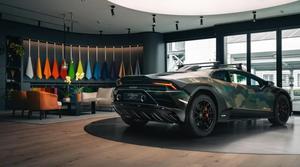 Lamborghini has made four interesting Sterrato attires motivated by nature - 