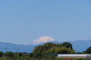 散歩　2024.5.10　五月の富士山 - 