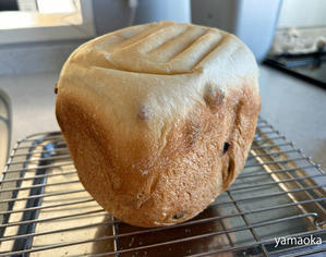 翡翠には子どもがうまれ、自家製パンはふっくらと焼きあがる。 - 