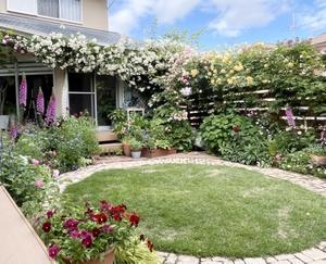 ◆裏庭は花盛り！ - Soleilの庭あそび・・・布あそび♪