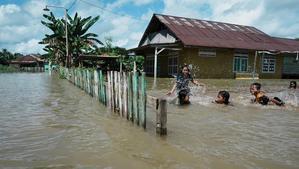 Floods in North Konawe, 1,983 People Affected, 328 Hectares of Land Submerged - 