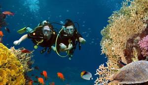 10 Most Popular and Famous Dive Sites in Bali - 