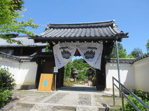 京都の風に吹かれて　建仁寺・西来院の庭園 - 