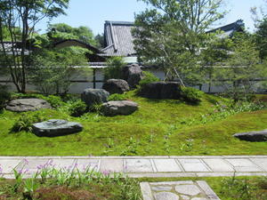 京都の風に吹かれて　建仁寺・西来院の庭園 - 
