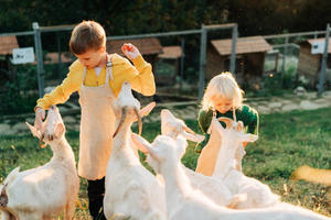 How to plan an agritourism getaway that includes farm-to-table dining and culinary workshops?  - 