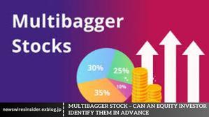 Multibagger Stock – Can an Equity Investor Identify Them In Advance - 