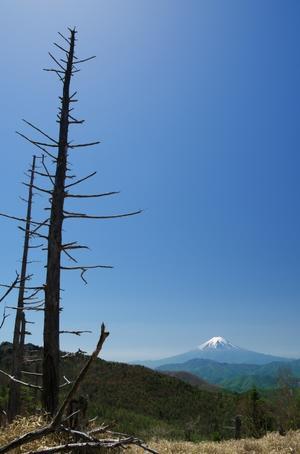 牛奥ノ雁ヶ腹摺山から望む富士山－２ - 