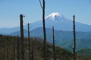 牛奥ノ雁ヶ腹摺山から望む富士山－２ - 自然と仲良くなれたらいいな３