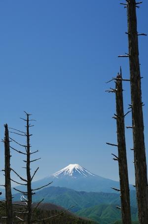 牛奥ノ雁ヶ腹摺山から望む富士山－２ - 