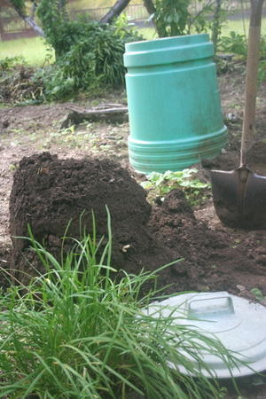 コンポスト堆肥で夏野菜 - ととのブログ