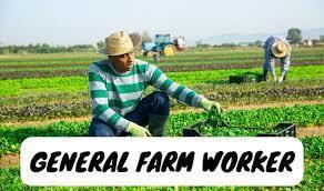 General Farm worker Jobs in Canada 2024 - 