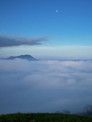 霧と雲海の朝　熊本県阿蘇市　2024.04.28 - 