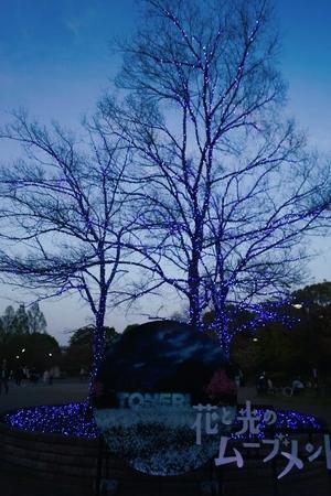 花と光のムーブメント☆舎人公園 - 