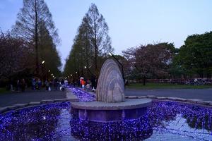 花と光のムーブメント☆舎人公園 - 
