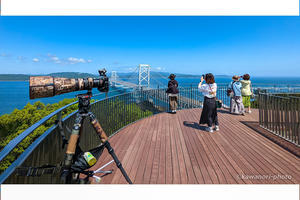 鳴門海峡：鷹の渡り観察 20240512 - kawanori-photo