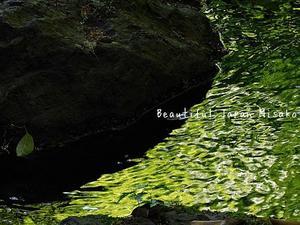 煌めきの水の魔術✨白鳥庭園;･ﾟ☆､･：`☆･･ﾟ･ﾟ☆ - Beautiful Japan 絵空事