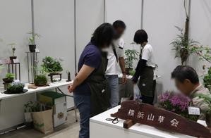 横浜フラワー&ガーデンフェスティバル2024 - 横浜山草会公式ブログ