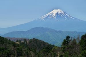 小金沢山から望む富士山 - 自然と仲良くなれたらいいな３