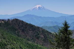 小金沢山から望む富士山 - 