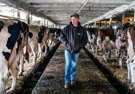 Labourer, Dairy Farm Jobs in Canada 2024 - 
