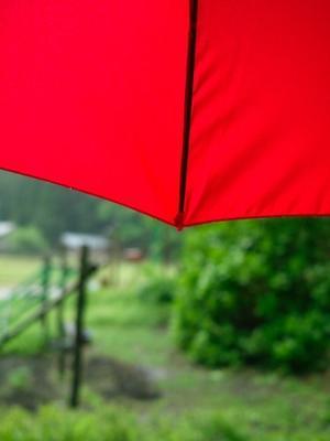 赤い傘 - 