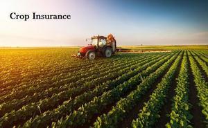 Global Crop Insurance Market Size | Growth & Forecast 2031 - 