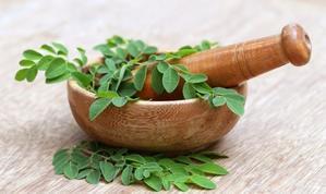 Moringa takes off are composed within the Koran, here are 6 benefits for wellbeing - 