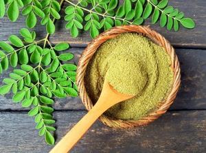 Moringa takes off are composed within the Koran, here are 6 benefits for wellbeing - 