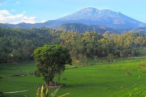 Desa Bantaragung, Surga Tersembunyi di Kaki Gunung Ciremai - 