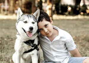 Are Husky Good With Kids – Protective Of Child - 