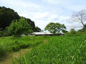 緑に囲まれたセンターです。 - 千葉県いすみ環境と文化のさとセンター